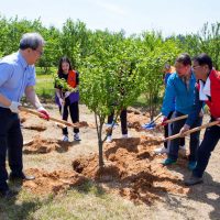 Planter 10000 arbres fruitiers en Arménie
